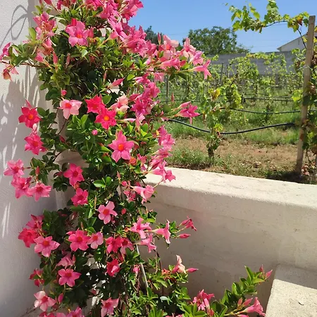 Bed & Breakfast Le Anfore Del Salento Marina di Lizzano