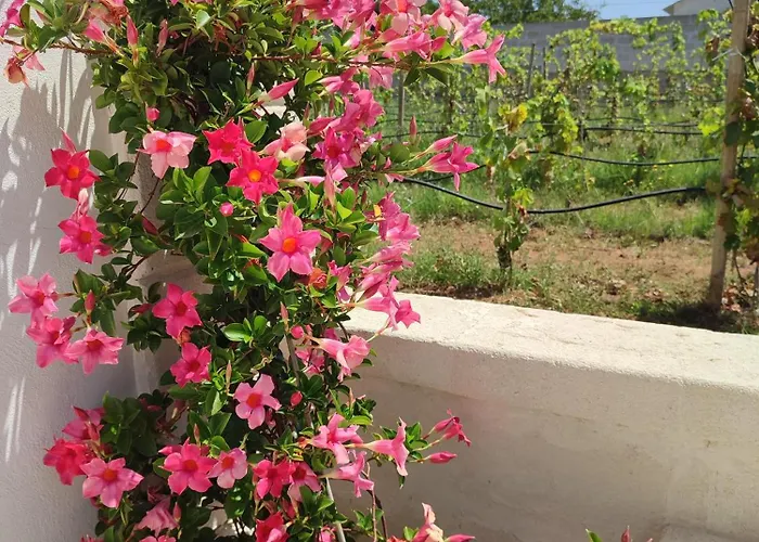 فندق مبيت وإفطار Le Anfore Del Salento مارينا دي ليتسانو